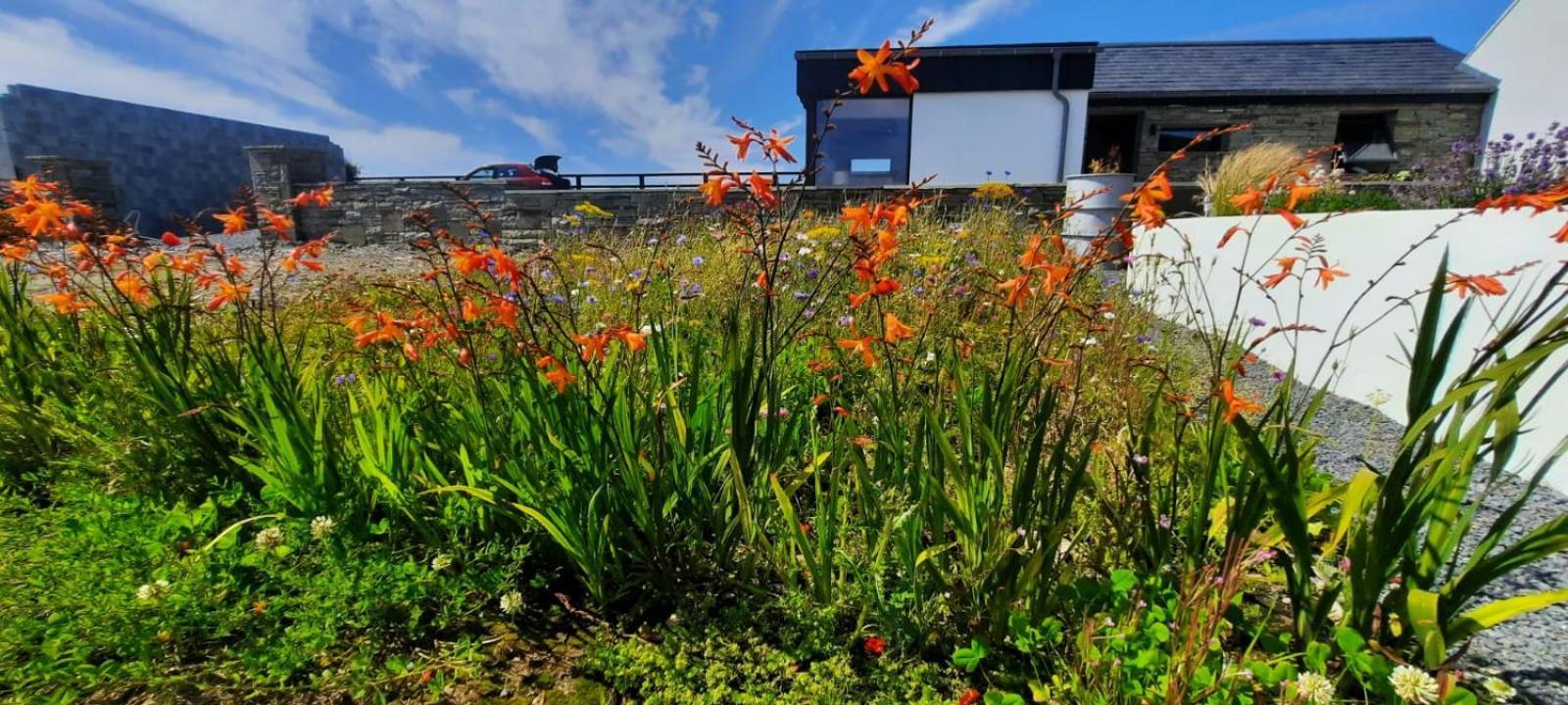 Rose Meadow Lodge Liscannor Buitenkant foto